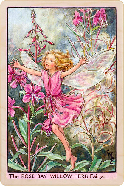 Rose Bay Willow Herb Fairy