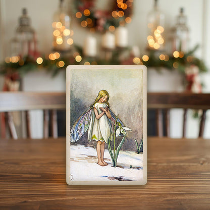 Snowdrop Fairy