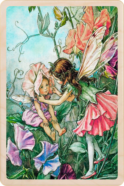 Sweet Pea Fairy card, featuring Cicely Mary Barker’s classic botanical illustration. The Wooden Postcard Company