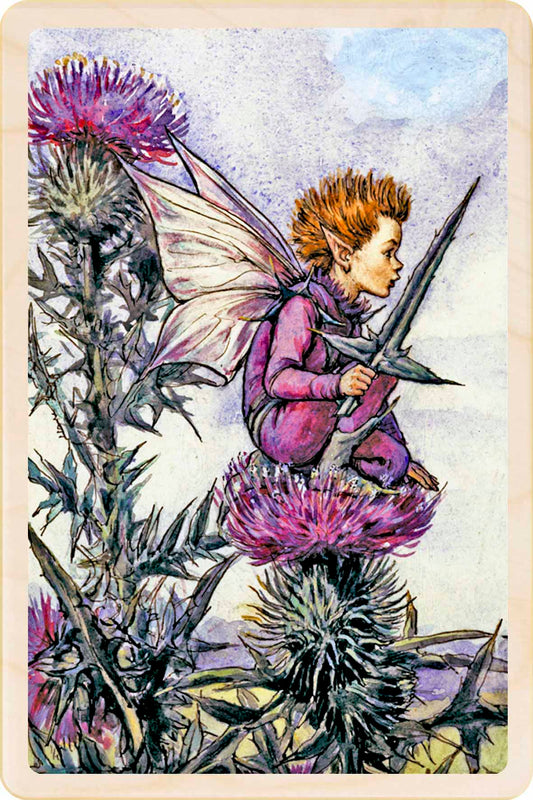 THISTLE FAIRY