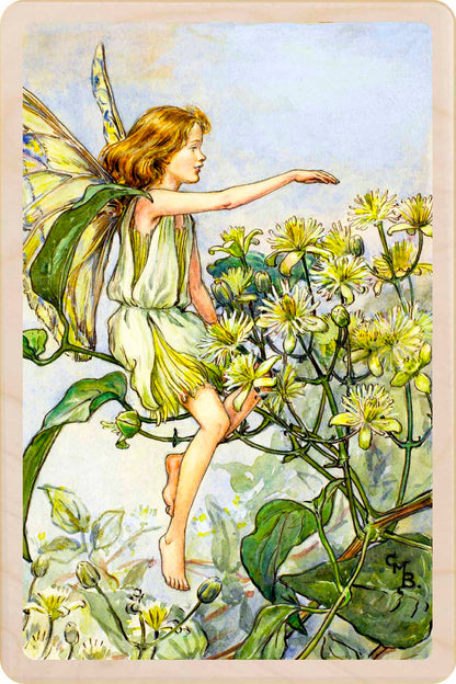 Cicely Mary Barker Traveller's Joy Fairy Wooden Postcard – Made in the UK