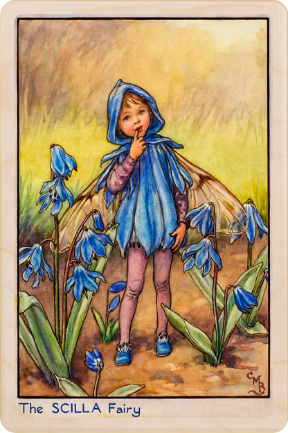 Scilla Fairy card, featuring Cicely Mary Barker’s classic botanical illustration. The Wooden Postcard Company