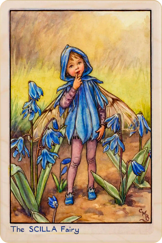Scilla Fairy card, featuring Cicely Mary Barker’s classic botanical illustration. The Wooden Postcard Company
