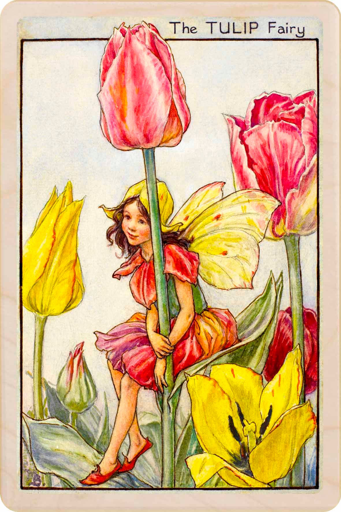 Tulip Fairy by Cicely Mary Barker. Printed with vibrant colour and fine detail. Made to send, keep, or collect. Handmade in the UK since 2012.