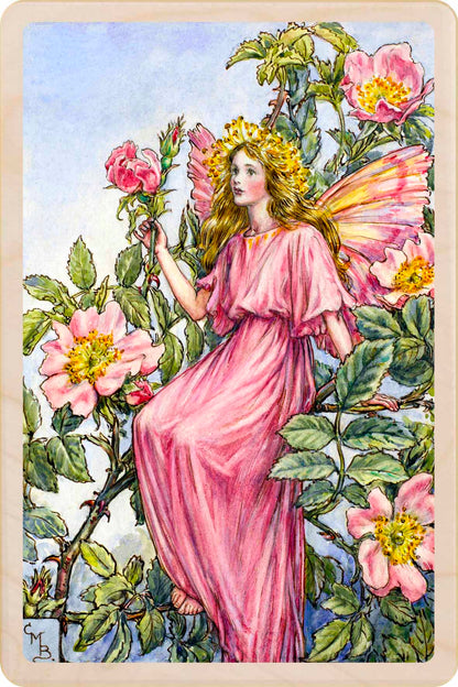 Wild Rose Fairy by Cicely Mary Barker. Printed with vibrant colour and fine detail. Made to send, keep, or collect. Handmade in the UK since 2012.