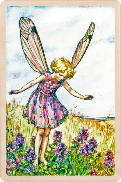 The Wild Thyme Flower Fairy, wooden postcard to send, to gift, or to keep and display. The Wooden Postcard Company