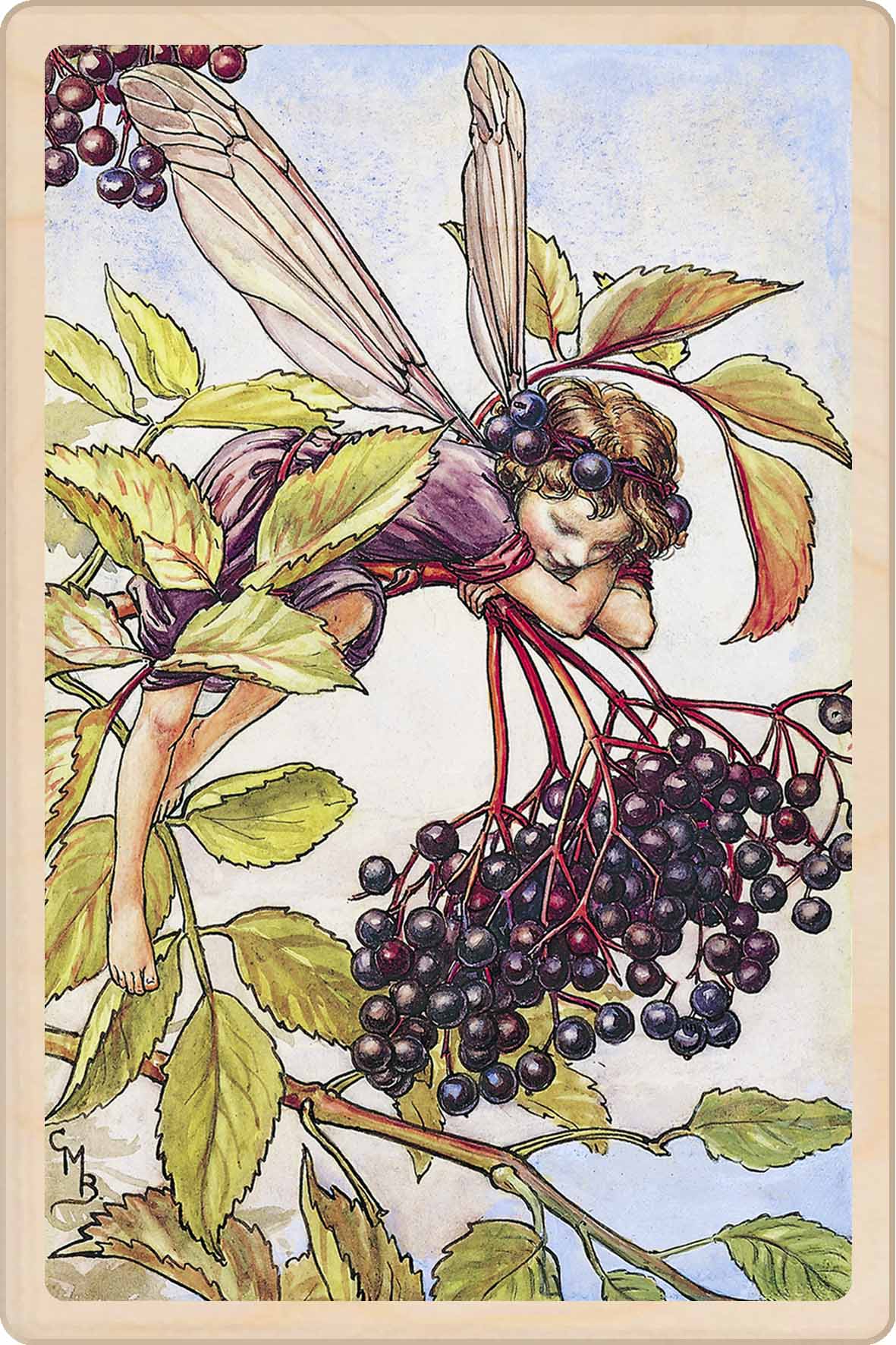 ELDERBERRY FAIRY