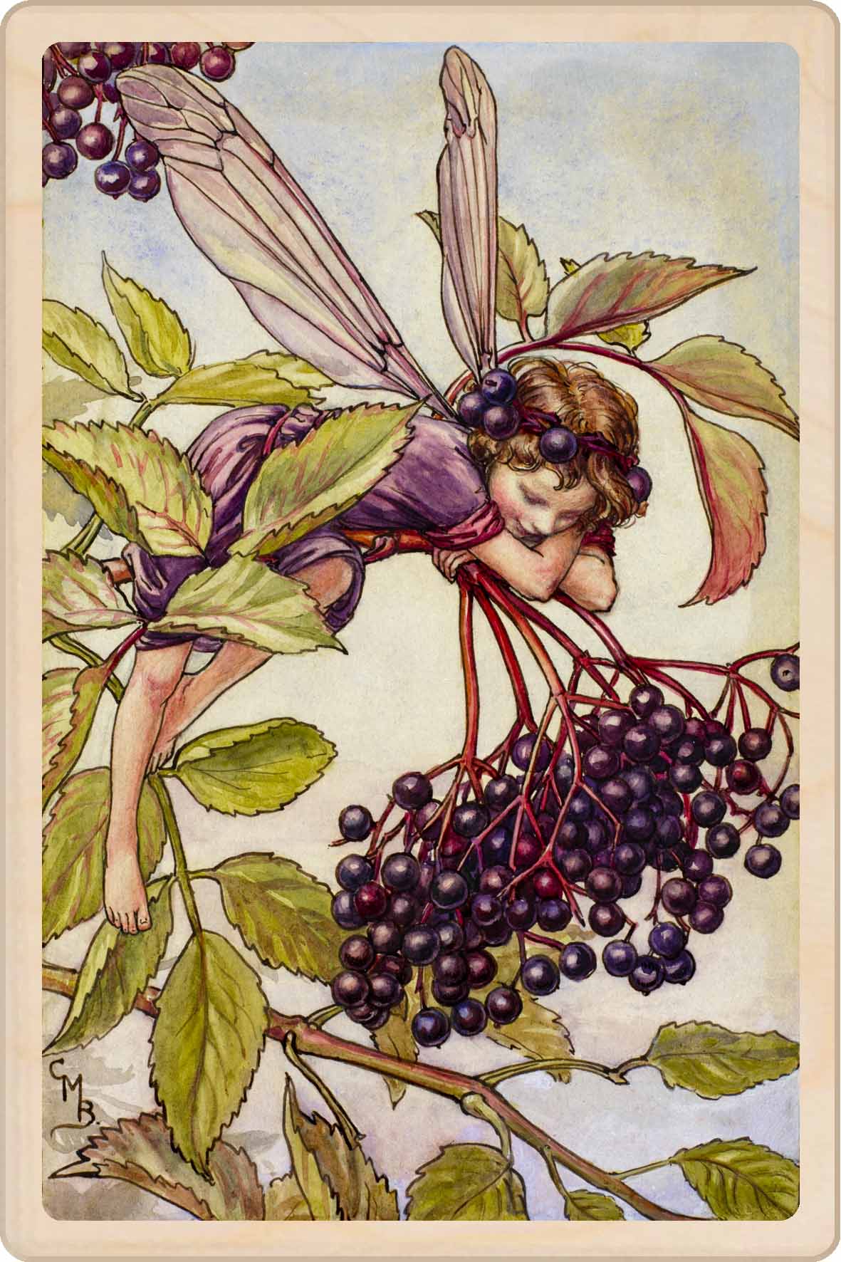 The Elderberry Fairy - Sustainable Card - Wooden Postcard&nbsp;
Original Flower Fairies™ illustration by Cicely Mary Barker, printed in Suffolk on sustainable wood. Made to send, keep, or display—an eco-friendly keepsake for fairy fans, garden lovers, and collectors.