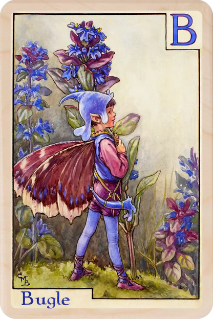 Alphabet Fairy B for Bugle Fairy™ Cicely Mary Barker original Flower Fairies™