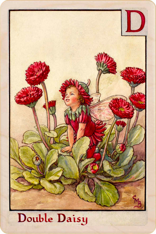 Daisy Fairy from the Alphabet Flower Fairies™ by Cicely Mary Barker. Printed in Suffolk with fine detail and vibrant colour. Handmade in the UK since 2012.