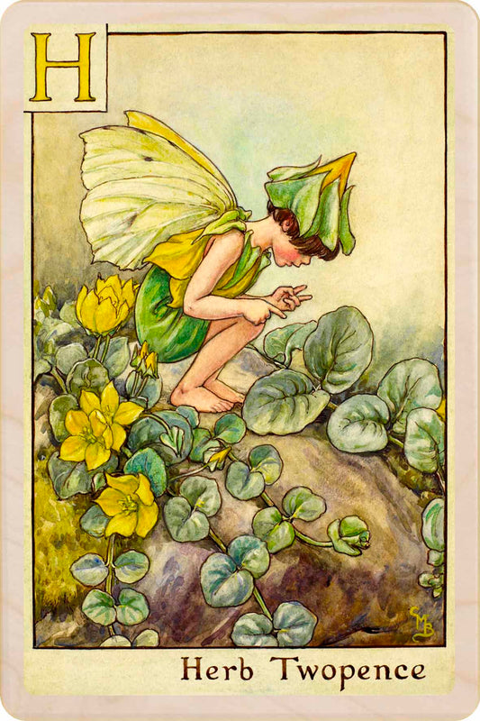 H HERB TWOPENCE FAIRY