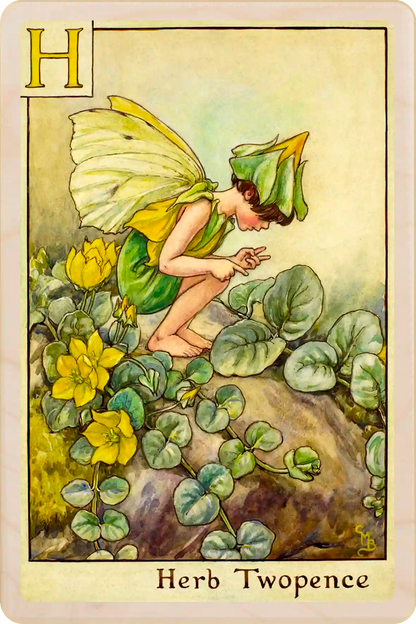 Herb Twopence Flower Fairy, wooden postcard to send, to gift, or to keep and display. The Wooden Postcard Company