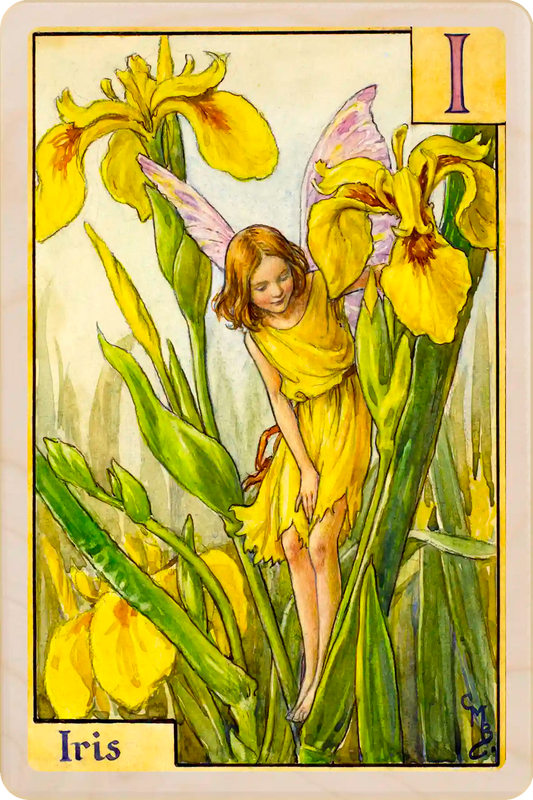 Iris Fairy – Alphabet Flower Fairies™ Original Flower Fairies™ illustration by Cicely Mary Barker, printed on sustainable wood. Part of the Alphabet Fairy collection made to send, gift and display.