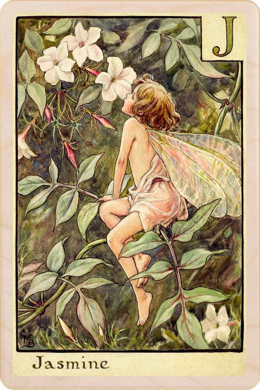 A - Apple Blossom Fairy – Alphabet Flower Fairies™ Wooden Postcard
Original Flower Fairies™ illustration by Cicely Mary Barker, printed in Suffolk on sustainable wood. Part of the Alphabet Fairy collection—made to send, keep and display.