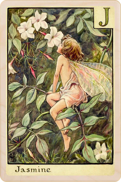 Jasmine Flower Fairy, wooden postcard to send, to gift, or to keep and display. The Wooden Postcard Company