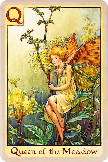 Q - Queen of the Meadow Fairy – Alphabet Flower Fairies™ Original Flower Fairies™ illustration by Cicely Mary Barker, printed on sustainable wood. Part of the Alphabet Fairy collection made to send, gift and display.
