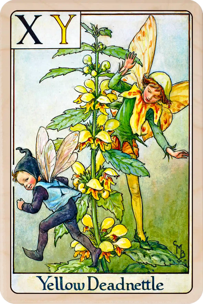 Yellow Deadnettle Fairy Original Flower Fairies™  by Cicely Mary Barker, printed on sustainable wood. Part of the Alphabet Fairy collection made to send, gift and display.