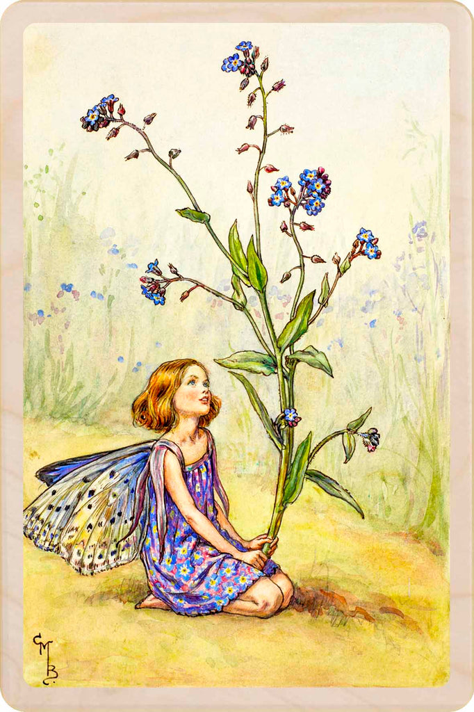 Forget-me-Not Fairy Garden Flower Fairies™ Vintage Botanical Card