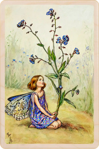 Forget-me-Not Fairy