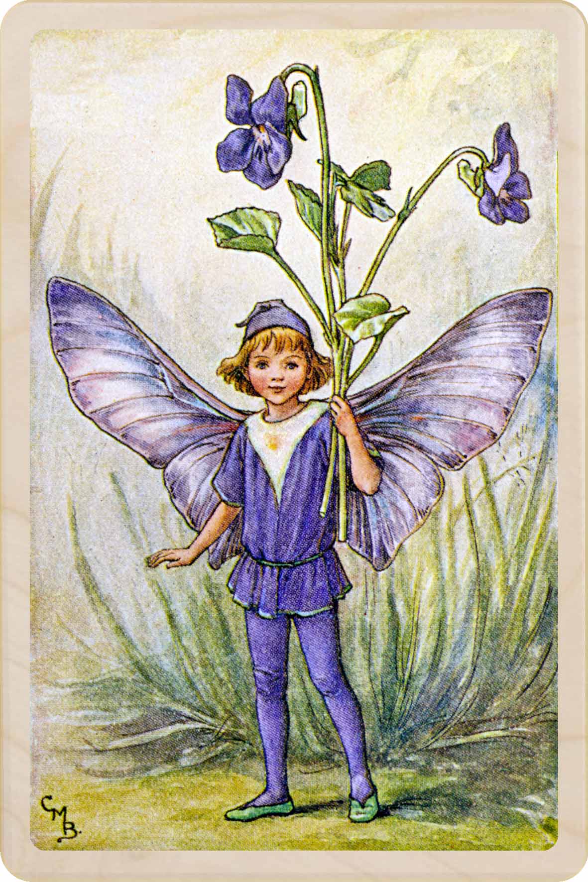 VIOLET FAIRY