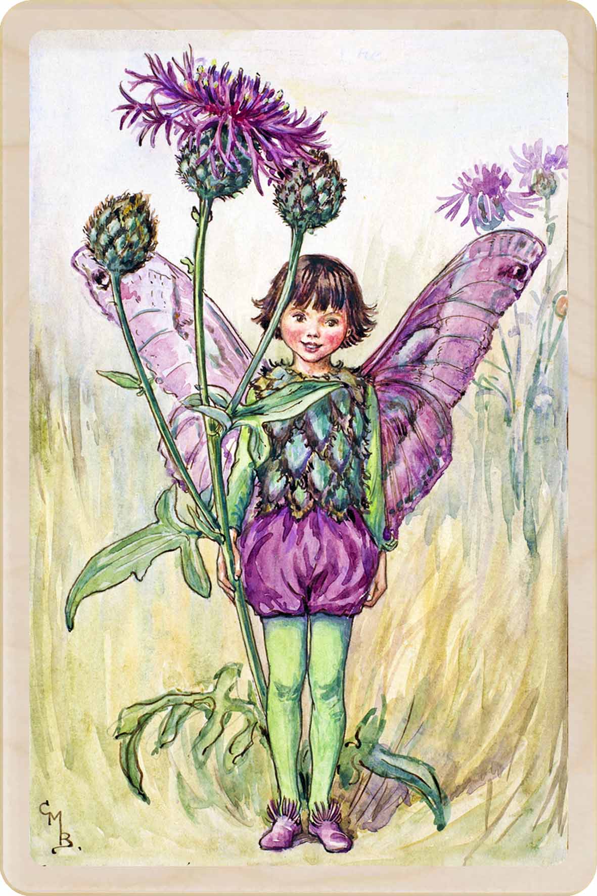 The Thistle Flower Fairy, wooden postcard to send, to gift, or to keep and display. The Wooden Postcard Company