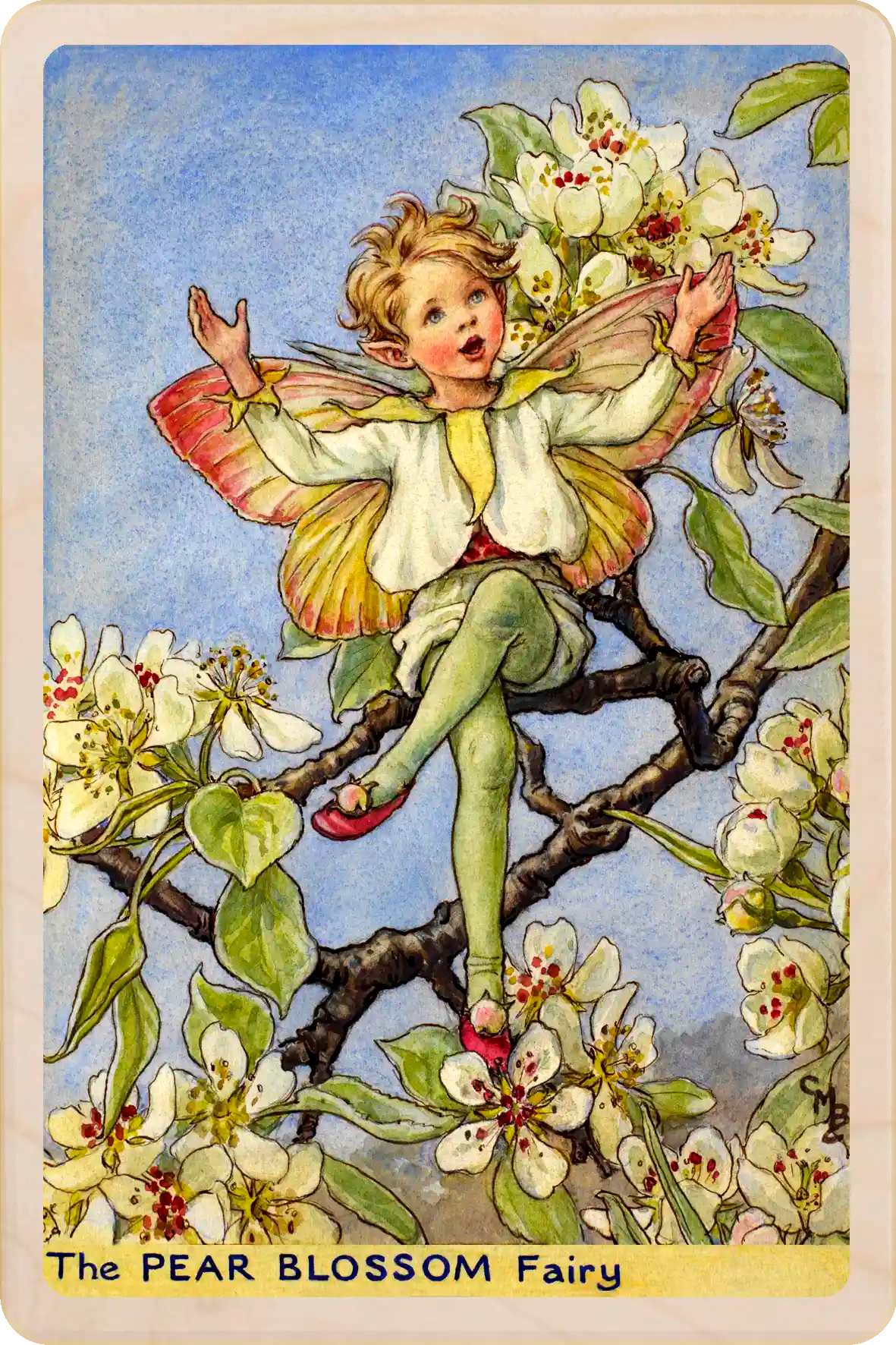 Pear Blossom Fairy, Cicely Mary Barker’s classic botanical illustration. The Wooden Postcard Company