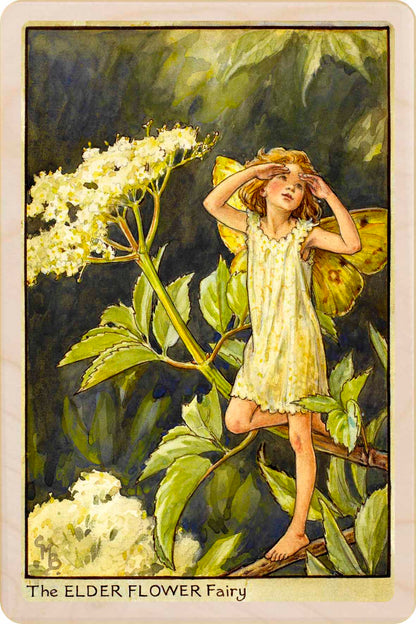 Elderflower Fairy
