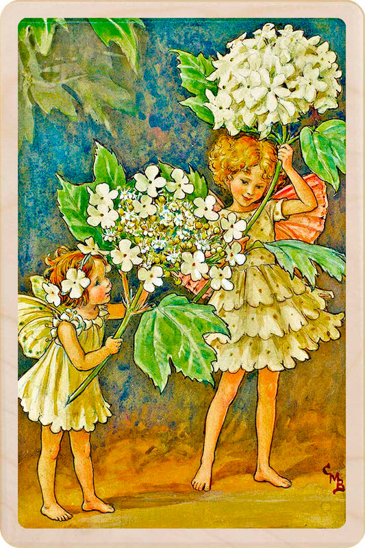 GROUND ELDER FAIRY