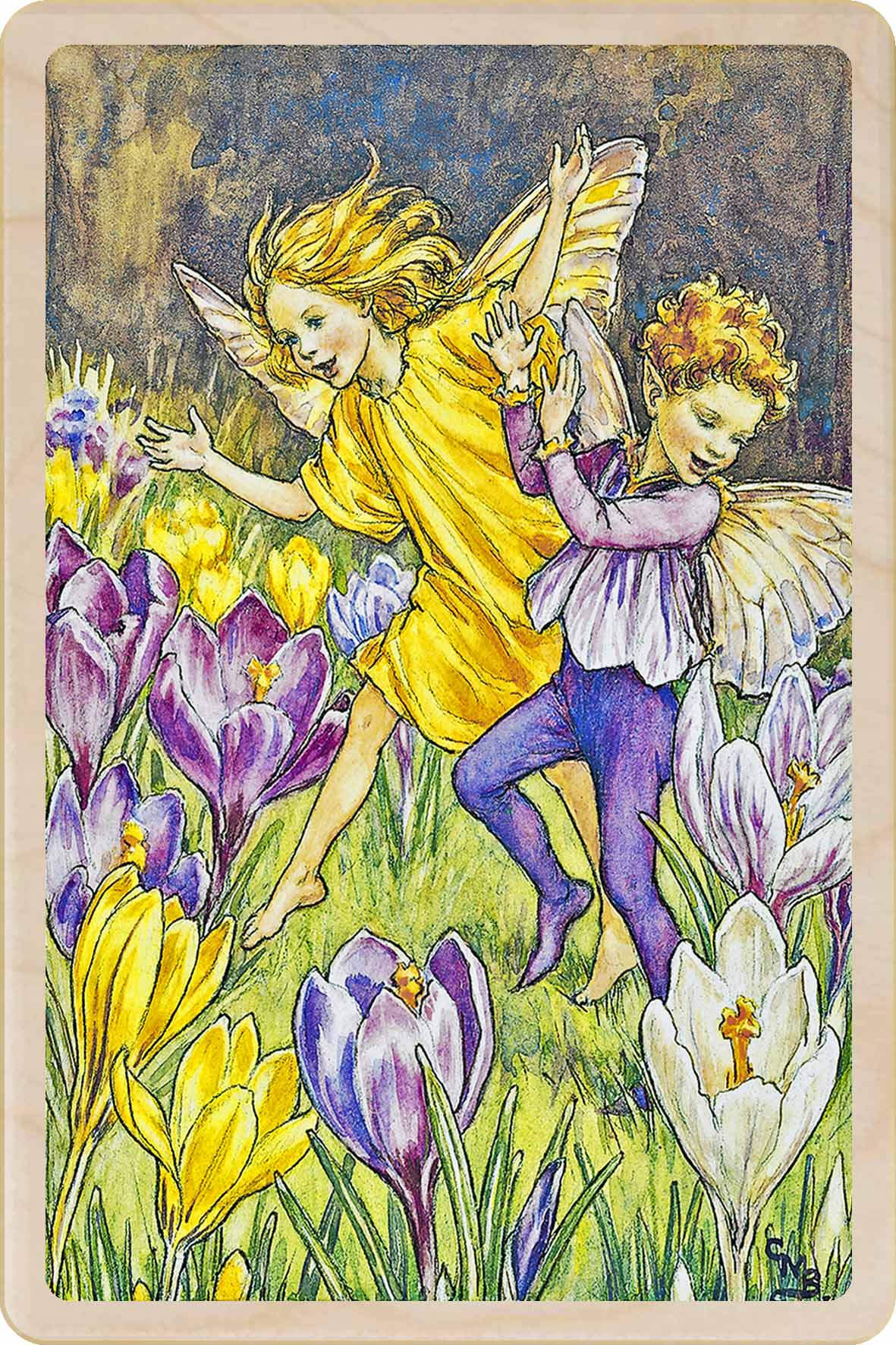 CROCUS FAIRY