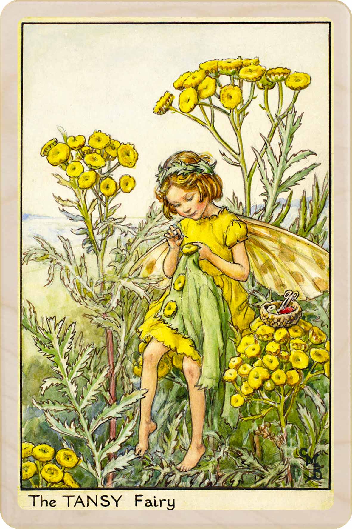 The Tansy Fairy - Cicely Mary Barker - Wooden Postcard – Made in the UK
Original Flower Fairies™ illustration by Cicely Mary Barker, printed in Suffolk on sustainable wood. Made to send, keep, or display—an eco-friendly keepsake for fairy fans, garden lovers, and collectors.
