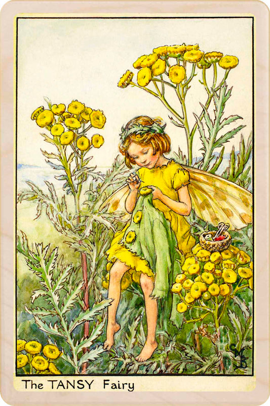 The Tansy Fairy - Cicely Mary Barker - Wooden Postcard – Made in the UK
Original Flower Fairies™ illustration by Cicely Mary Barker, printed in Suffolk on sustainable wood. Made to send, keep, or display—an eco-friendly keepsake for fairy fans, garden lovers, and collectors.