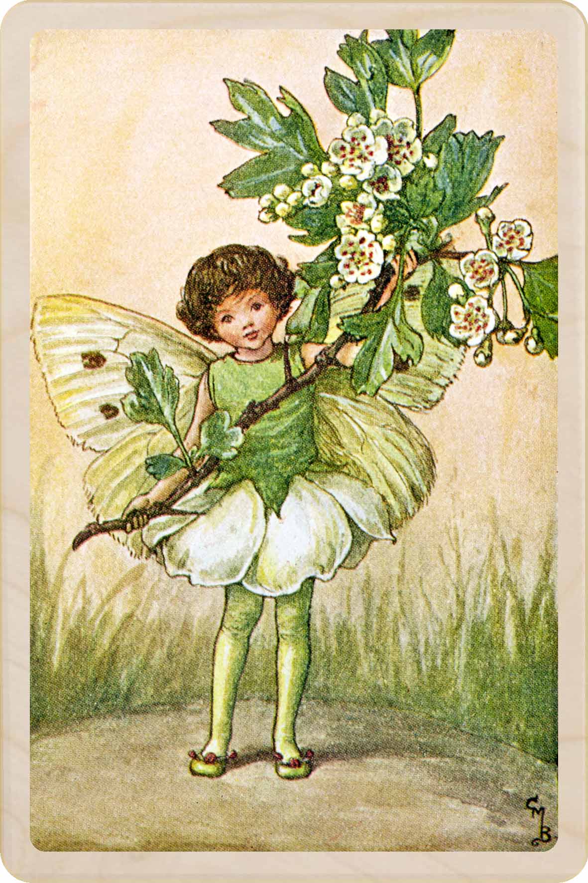 May Fairies | Spring Fairies | The Flower Fairies™ | The Wooden ...