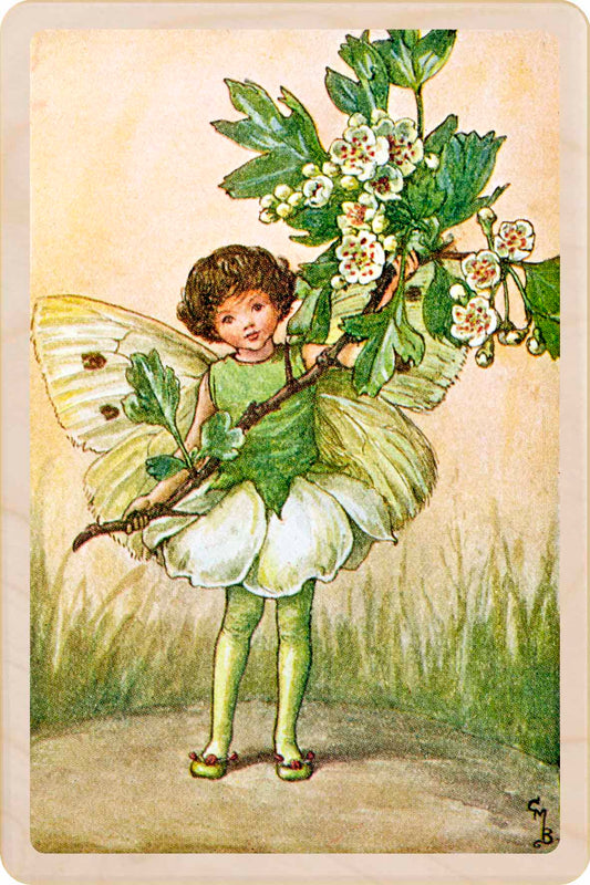 MAY FAIRY