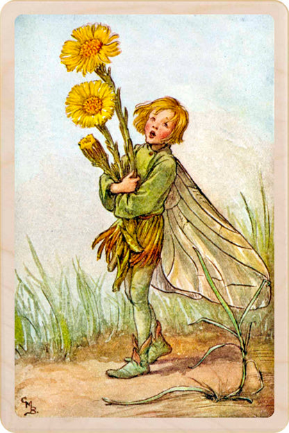 Colt's Foot Fairy by Cicely Mary Barker. Printed with vibrant colour and fine detail. Made to send, keep, or collect. Handmade in the UK since 2012.