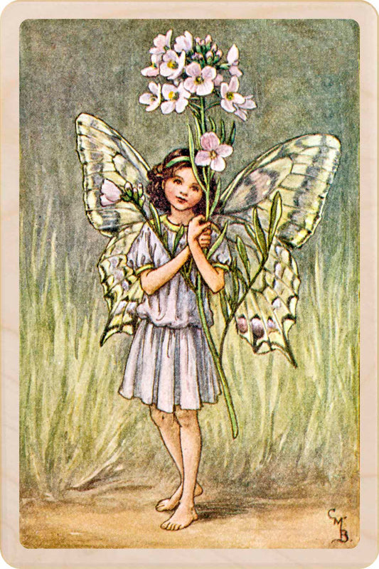 LADY'S SMOCK FAIRY