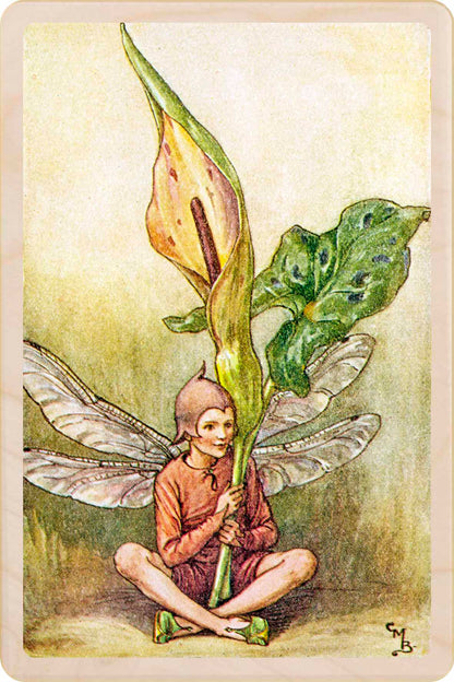Lord and Ladies Fairy by Cicely Mary Barker. Printed with vibrant colour and fine detail. Made to send, keep, or collect. Handmade in the UK since 2012.