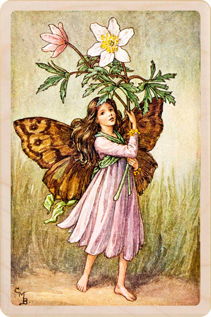 Windflower Fairy by Cicely Mary Barker. Printed with vibrant colour and fine detail. Made to send, keep, or collect. Handmade in the UK since 2012.