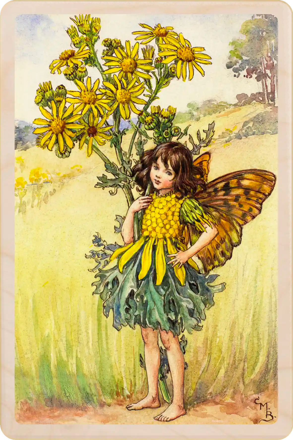 The Ragwort Fairy - Sustainable Card - Wooden Postcard
Original Flower Fairies™ illustration by Cicely Mary Barker, printed on sustainable wood. Made to send, keep, or display - The Wooden postcard Company