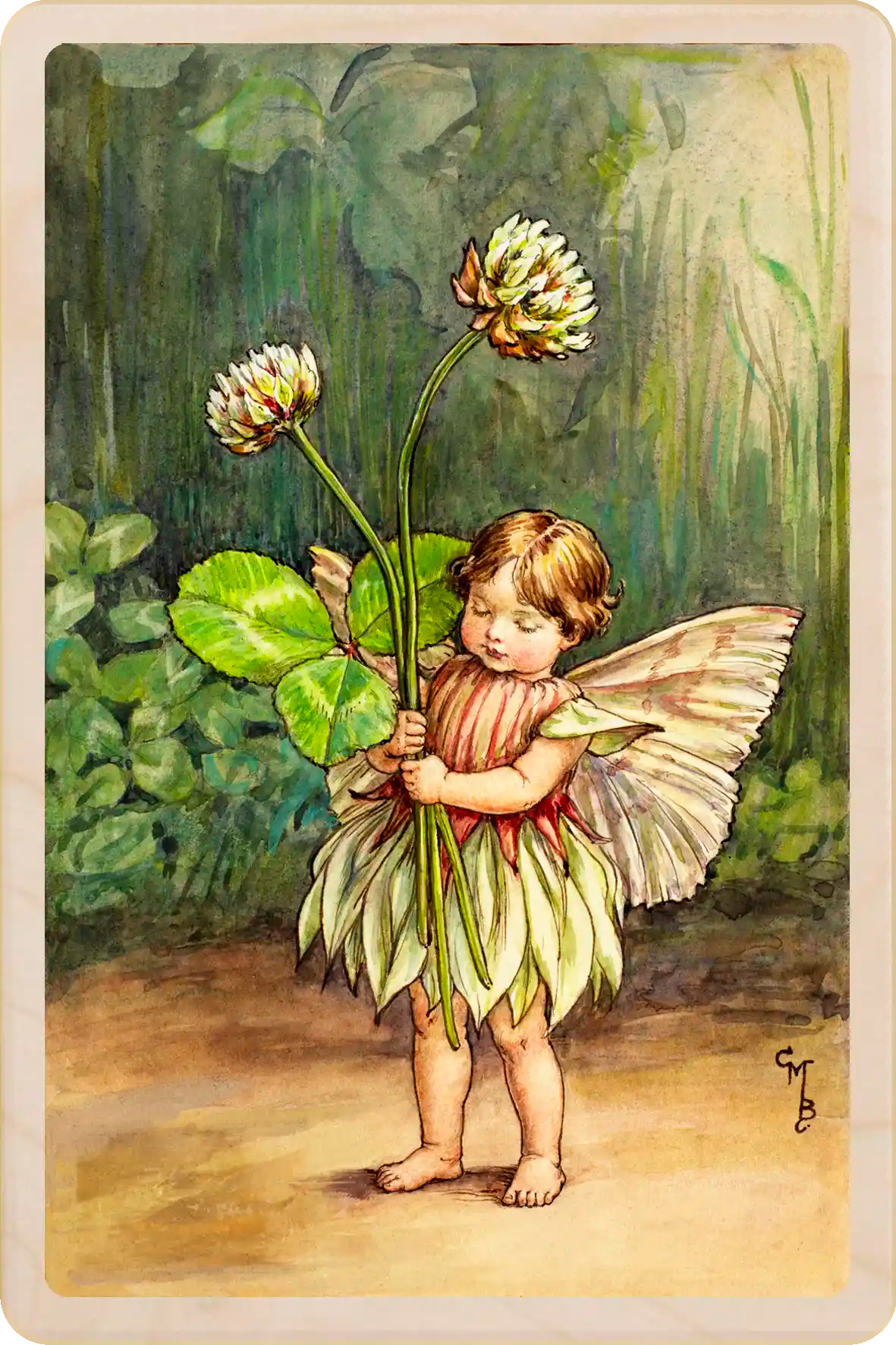 The White Clover Fairy - Sustainable Card - Wooden Postcard
Original Flower Fairies™ illustration by Cicely Mary Barker The Wooden postcard Company