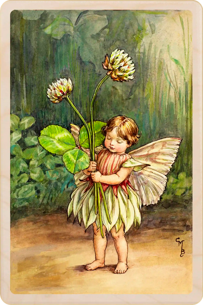 The White Clover Fairy - Sustainable Card - Wooden Postcard
Original Flower Fairies™ illustration by Cicely Mary Barker The Wooden postcard Company