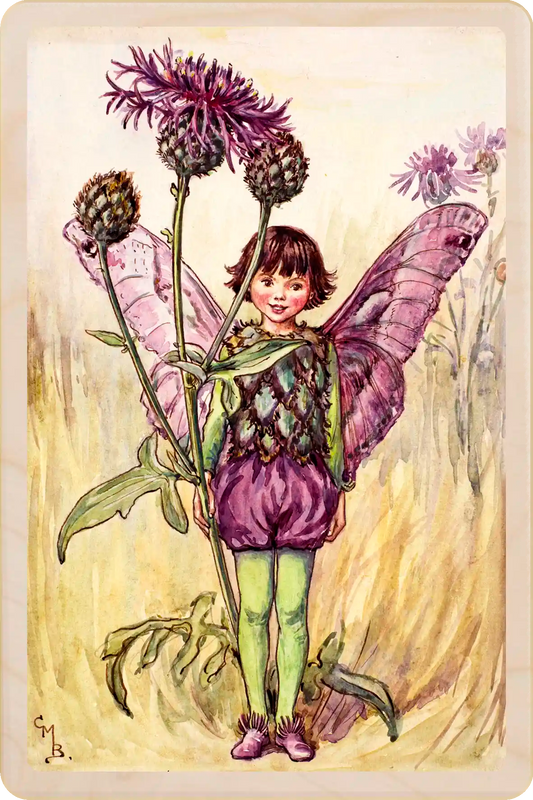 The Greater Knapweed Fairy - Sustainable Card - Wooden Postcard
Original Flower Fairies™ illustration by Cicely Mary Barker, printed on sustainable wood. Made to send, keep, and display - The wooden postcard Company