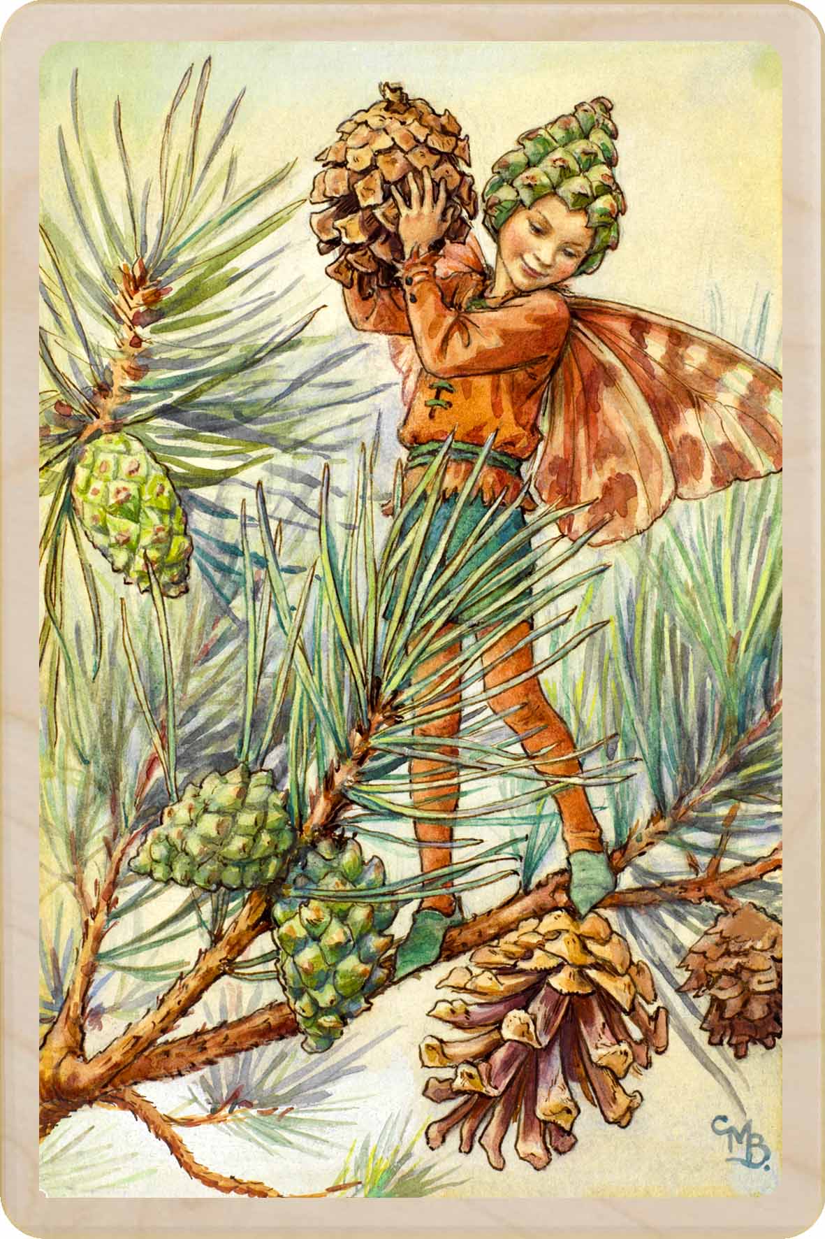 Fairy in a pine tree with pinecones and branches. The Pine Tree Fairy&nbsp; - Sustainable Card - Wooden Postcard&nbsp;
Original Flower Fairies™ illustration by Cicely Mary Barker, printed in Suffolk on sustainable wood. Made to send, keep, or display—an eco-friendly keepsake for fairy fans, garden lovers, and collectors.