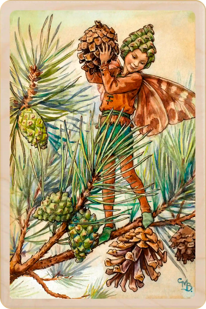 Pine Tree Flower Fairy, wooden postcard to send, to gift, or to keep and display. The Wooden Postcard Company