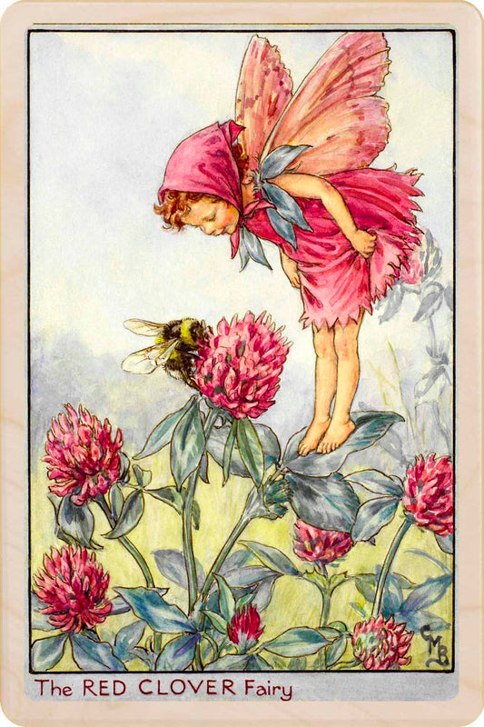 RED CLOVER FAIRY