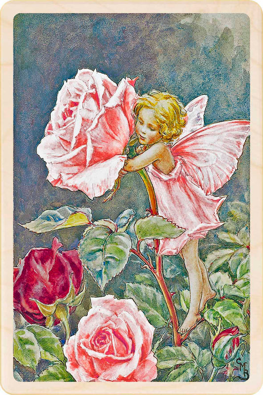 ROSE FAIRY