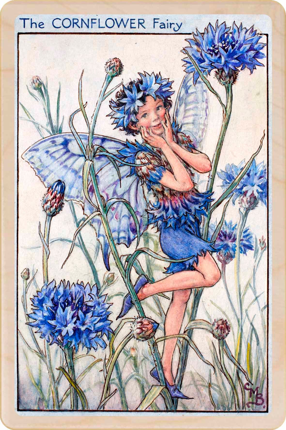 CORNFLOWER FAIRY