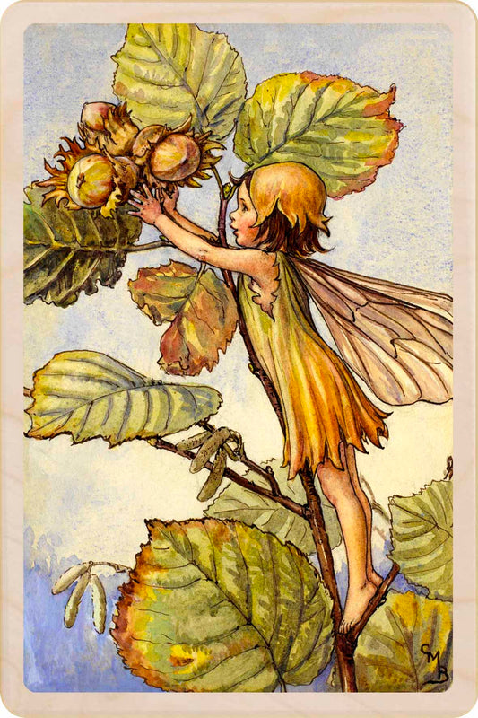 The Hazel Nut Fairy - Sustainable Card - Wooden Postcard&nbsp;
Original Flower Fairies™ illustration by Cicely Mary Barker, printed in Suffolk on sustainable wood. Made to send, keep, or display—an eco-friendly keepsake for fairy fans, garden lovers, and collectors.