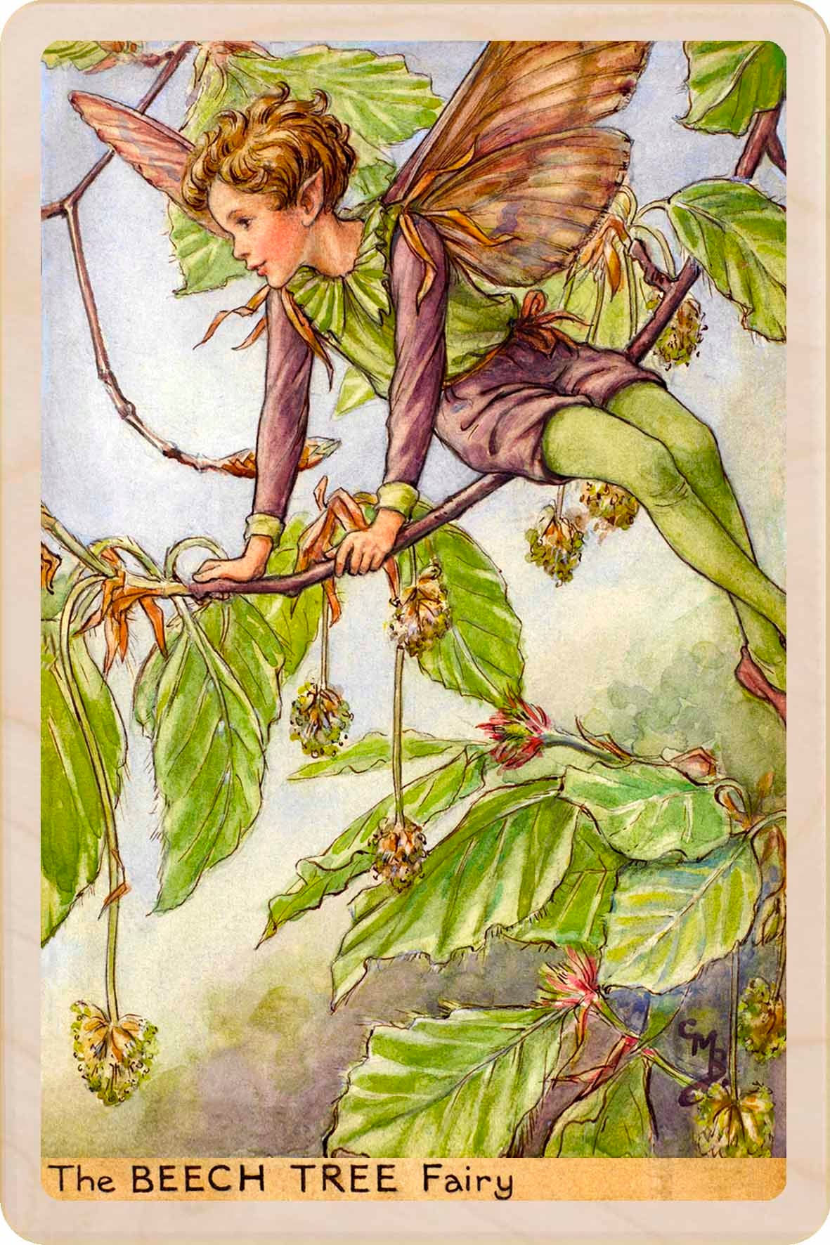 Cicely Mary Barker Beech Tree Fairy Wooden Postcard – Made in the UK
Original Flower Fairies™ illustration by Cicely Mary Barker, printed in Suffolk on sustainable wood. Made to send, keep, or display—an eco-friendly keepsake for fairy fans, garden lovers, and collectors.