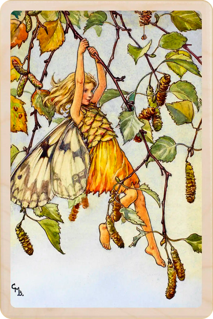 Silver Birch Tree Fairy, Cicely Mary Barker’s classic botanical illustration. The Wooden Postcard Company