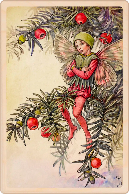 Yew Fairy, Cicely Mary Barker, official Winter Flower Fairies wooden Christmas card. The Wooden Postcard Company